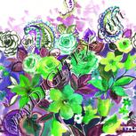 Colour:D