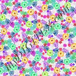 Colour:B