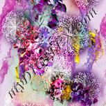 Colour:B