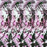 Colour:B