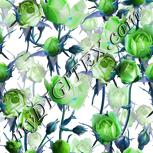 Colour:C