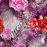 Colour:B