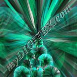 Colour:B