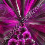 Colour:C