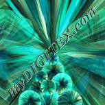 Colour:K