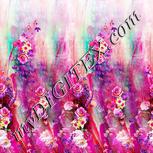 Colour:B