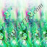 Colour:C