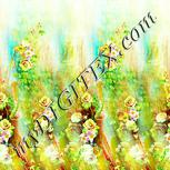 Colour:K