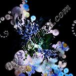 Colour:F