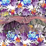 Colour:A