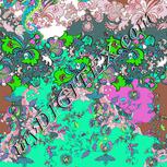 Colour:C