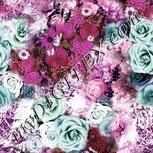 Colour:B