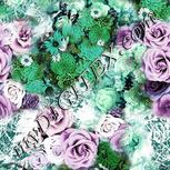 Colour:C