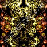 Colour:F