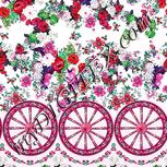Colour:B