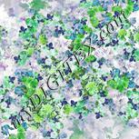 Colour:D