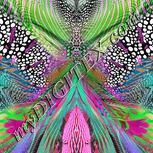 Colour:B