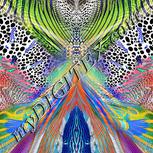 Colour:F