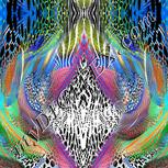 Colour:F