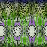 Colour:D