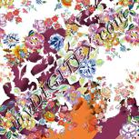 Colour:A