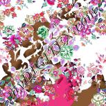 Colour:B
