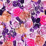 Colour:B