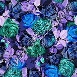 Colour:F