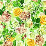 Colour:K