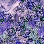 Colour:F