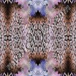 Colour:F