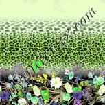 Colour:D