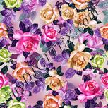 Colour:B