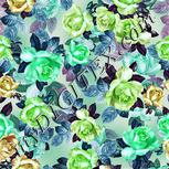Colour:C