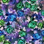Colour:F