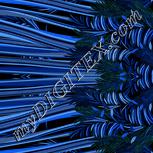 Colour:F