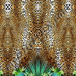 Colour:A