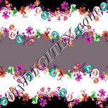 Colour:B