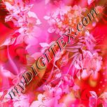 Colour:B