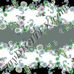 Colour:C
