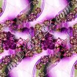 Colour:C
