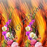 Colour:A