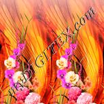 Colour:J
