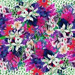 Colour:B