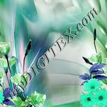 Colour:C