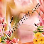 Colour:J