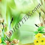 Colour:K