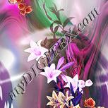 Colour:B