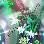 Colour:C