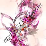 Colour:B